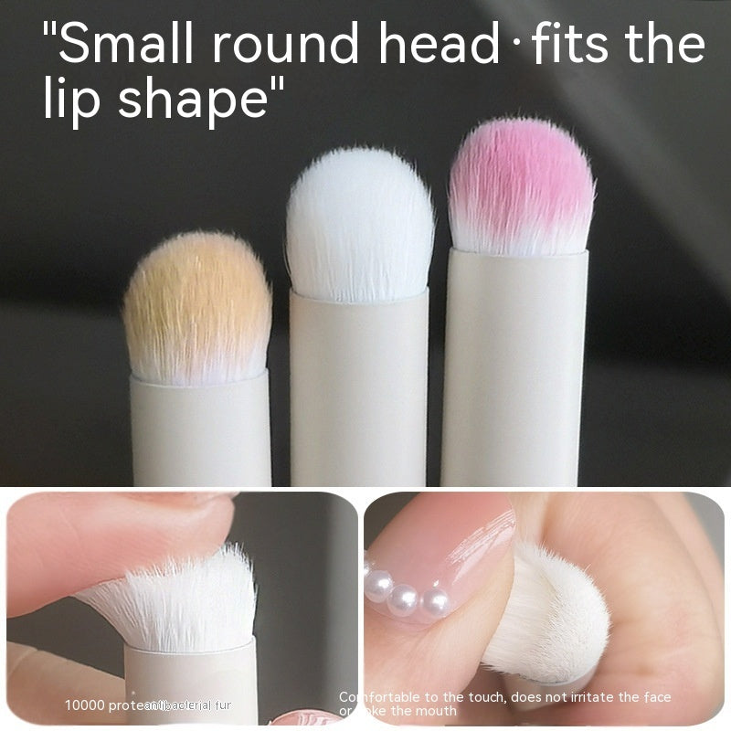Boxed Mini Lip Brush Convenient Round Head Concealer Brush